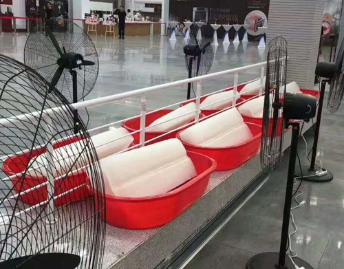 色黄香蕉一区视频冰塊案例