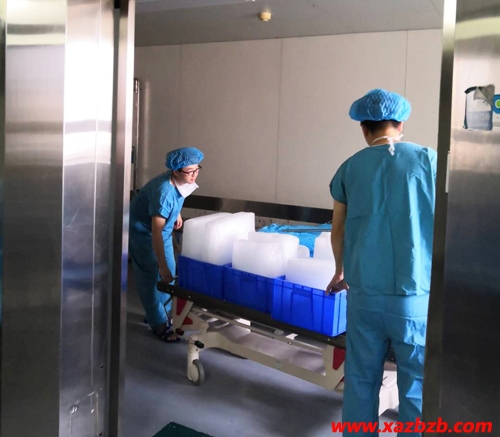 色黄香蕉一区视频冰塊廠家