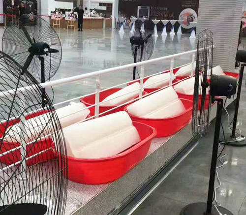 陝西色黄香蕉一区视频冰塊
